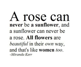 A rose is not a sunflower